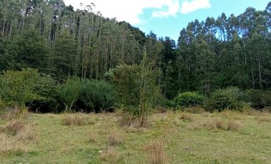 Parcela 1 Ha Sector Santo Domingo $ 150.000.000.-