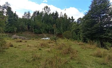 Parcela 1 Ha Sector Santo Domingo $ 150.000.000.-