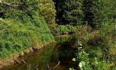 Parcela 1 Ha Sector Santo Domingo $ 150.000.000.-