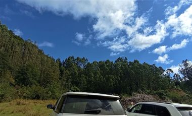 Parcela 1 Ha Sector Santo Domingo $ 150.000.000.-