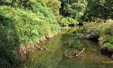 Parcela 1 Ha Sector Santo Domingo $ 150.000.000.-