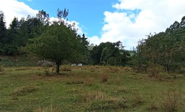 Parcela 1 Ha Sector Santo Domingo $ 150.000.000.-