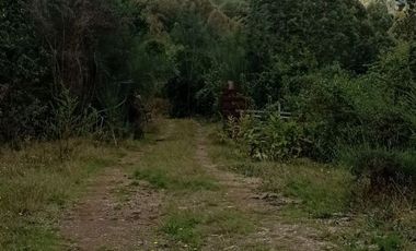 Parcela 1 Ha Sector Santo Domingo $ 150.000.000.-