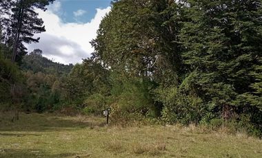 Parcela 1 Ha Sector Santo Domingo $ 150.000.000.-