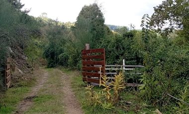 Parcela 1 Ha Sector Santo Domingo $ 150.000.000.-