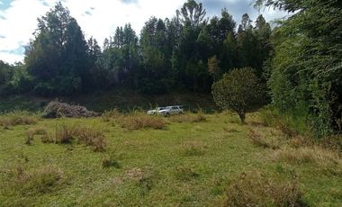 Parcela 1 Ha Sector Santo Domingo $ 150.000.000.-