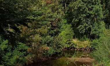 Parcela 1 Ha Sector Santo Domingo $ 150.000.000.-