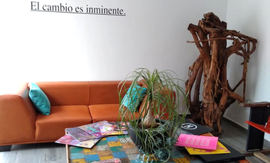 Hermosa Oficina En Colonia La Paz Con Terraza Al Aire Libre