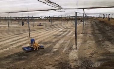 Camaronera de Venta en Sector Engunga