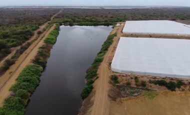 Camaronera de Venta en Sector Engunga