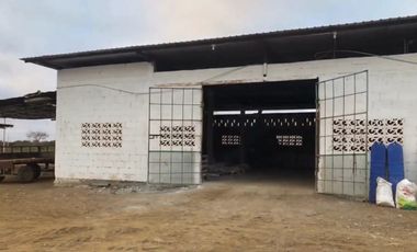 Camaronera de Venta en Sector Engunga