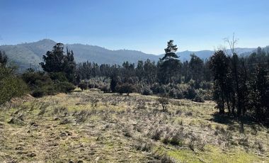 Oportunidad, parcelas con lomaje suave con red de agua y luz