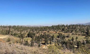 Oportunidad, parcelas con lomaje suave con red de agua y luz
