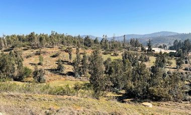 Oportunidad, parcelas con lomaje suave con red de agua y luz