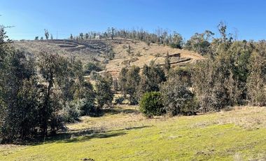 Oportunidad, parcelas con lomaje suave con red de agua y luz