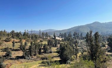Oportunidad, parcelas con lomaje suave con red de agua y luz