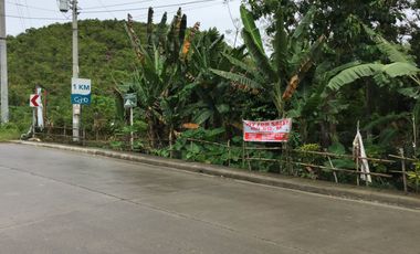 1,684 Square meter lot for sale located at Barangay Bool District, Tagbilaran City