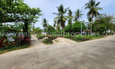 Commercial lot a Prime Location for a Near Beach Property in the City Proper