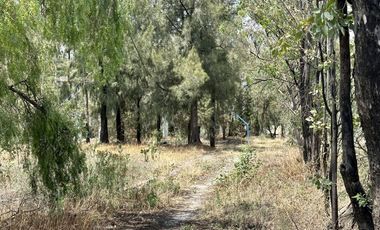 TERRENO EN ZONA RESIDENCIAL PARA DESARROLLO DE PROYECTO