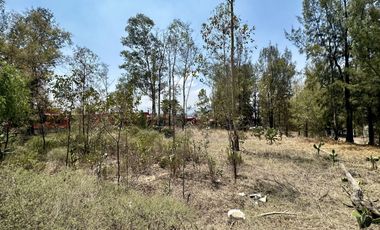 TERRENO EN ZONA RESIDENCIAL PARA DESARROLLO DE PROYECTO