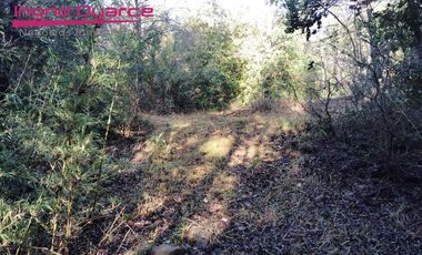 VENDO HERMOSA PARCELA CON MAJESTUOSO PAISAJE CORDILLERANO RODEADA POR ESTERO EN KM46.5 A LAS TERMAS DE CHILLAN