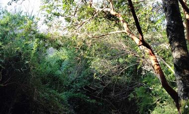 VENDO HERMOSA PARCELA CON MAJESTUOSO PAISAJE CORDILLERANO RODEADA POR ESTERO EN KM46.5 A LAS TERMAS DE CHILLAN
