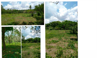 For Sale: Farm/Agricultural Property in Lipa, Batangas City, P29.26M