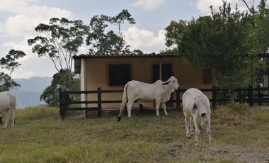 Finca San Vicente de chucuri