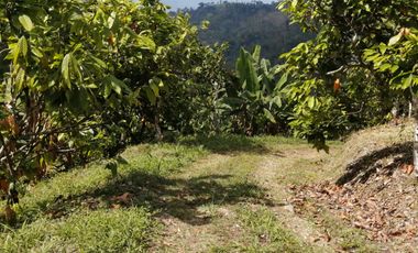 Finca San Vicente de chucuri