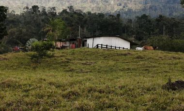 Finca San Vicente de chucuri