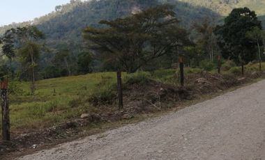 Finca San Vicente de chucuri