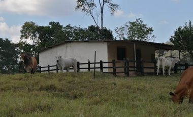 Finca San Vicente de chucuri