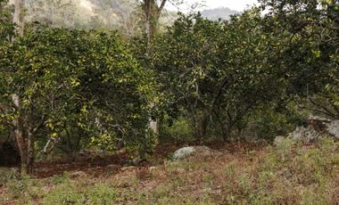 Finca San Vicente de chucuri