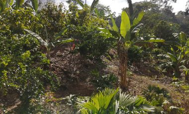 Finca San Vicente de chucuri