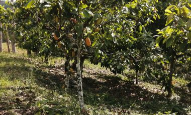 Finca San Vicente de chucuri