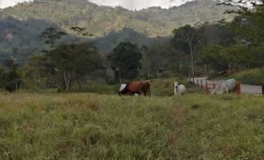 Finca San Vicente de chucuri