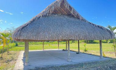 Excelentes lotes de 98 M2 con facilidades de pago