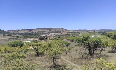 Parcela a minutos de playas de la sexta región!!!