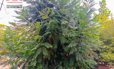 🏡León Propiedades vende hermosa Casa en los Naranjos, Curacaví🏡