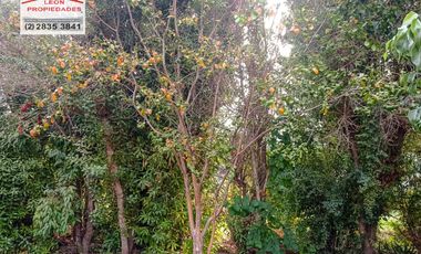 🏡León Propiedades vende hermosa Casa en los Naranjos, Curacaví🏡