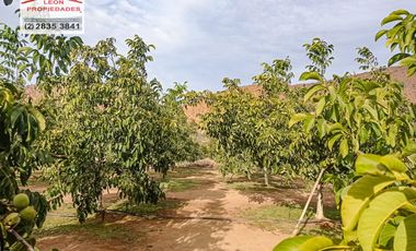 🏡León Propiedades vende hermosa Casa en los Naranjos, Curacaví🏡