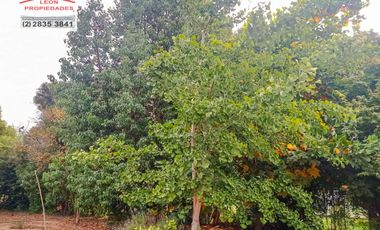 🏡León Propiedades vende hermosa Casa en los Naranjos, Curacaví🏡