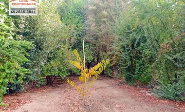 🏡León Propiedades vende hermosa Casa en los Naranjos, Curacaví🏡