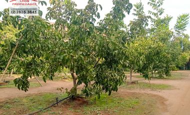 🏡León Propiedades vende hermosa Casa en los Naranjos, Curacaví🏡