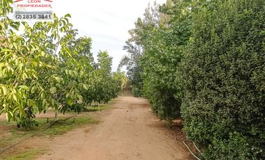 🏡León Propiedades vende hermosa Casa en los Naranjos, Curacaví🏡