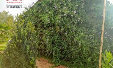 🏡León Propiedades vende hermosa Casa en los Naranjos, Curacaví🏡