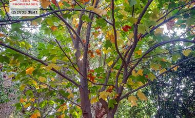 🏡León Propiedades vende hermosa Casa en los Naranjos, Curacaví🏡