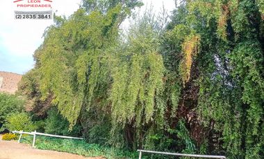 🏡León Propiedades vende hermosa Casa en los Naranjos, Curacaví🏡