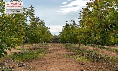 🏡León Propiedades vende hermosa Casa en los Naranjos, Curacaví🏡