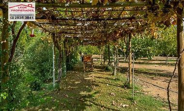 🏡León Propiedades vende hermosa Casa en los Naranjos, Curacaví🏡